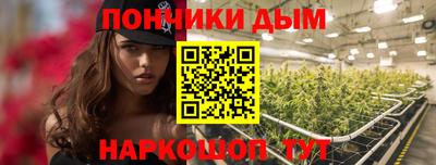 spice Краснознаменск