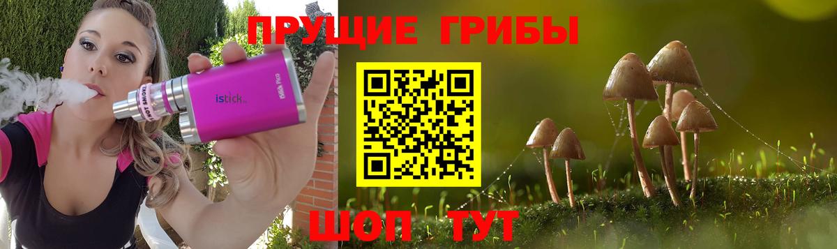 Кирово-Чепецк  Галлюциногенные грибы Magic Shrooms  Вход с VPN  Галлюциногенные грибы Cubensis 